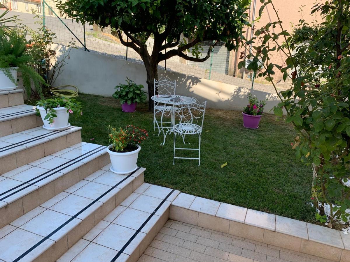 B&B Villa Pignataro Verbicaro Ngoại thất bức ảnh